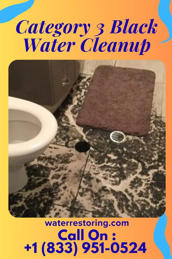 Category 3 Black Water Cleanup in Bradenton, FL