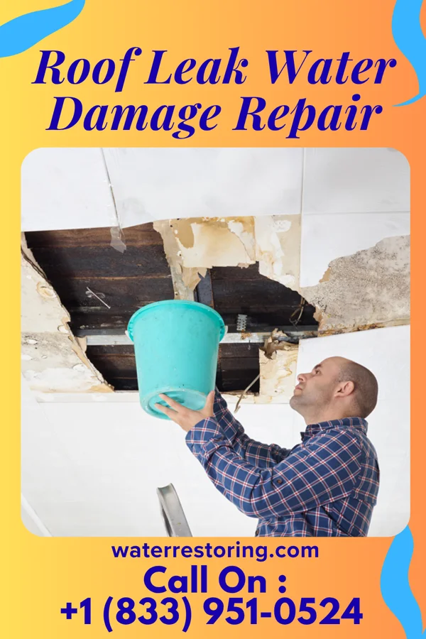 Roof Leak Water Damage Repair in Bradenton, FL