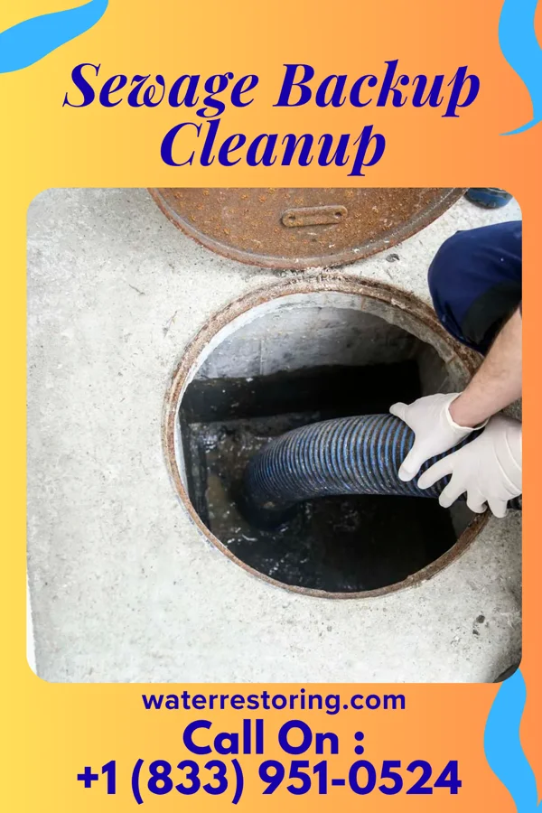 Sewage Backup Cleanup in Bradenton, FL